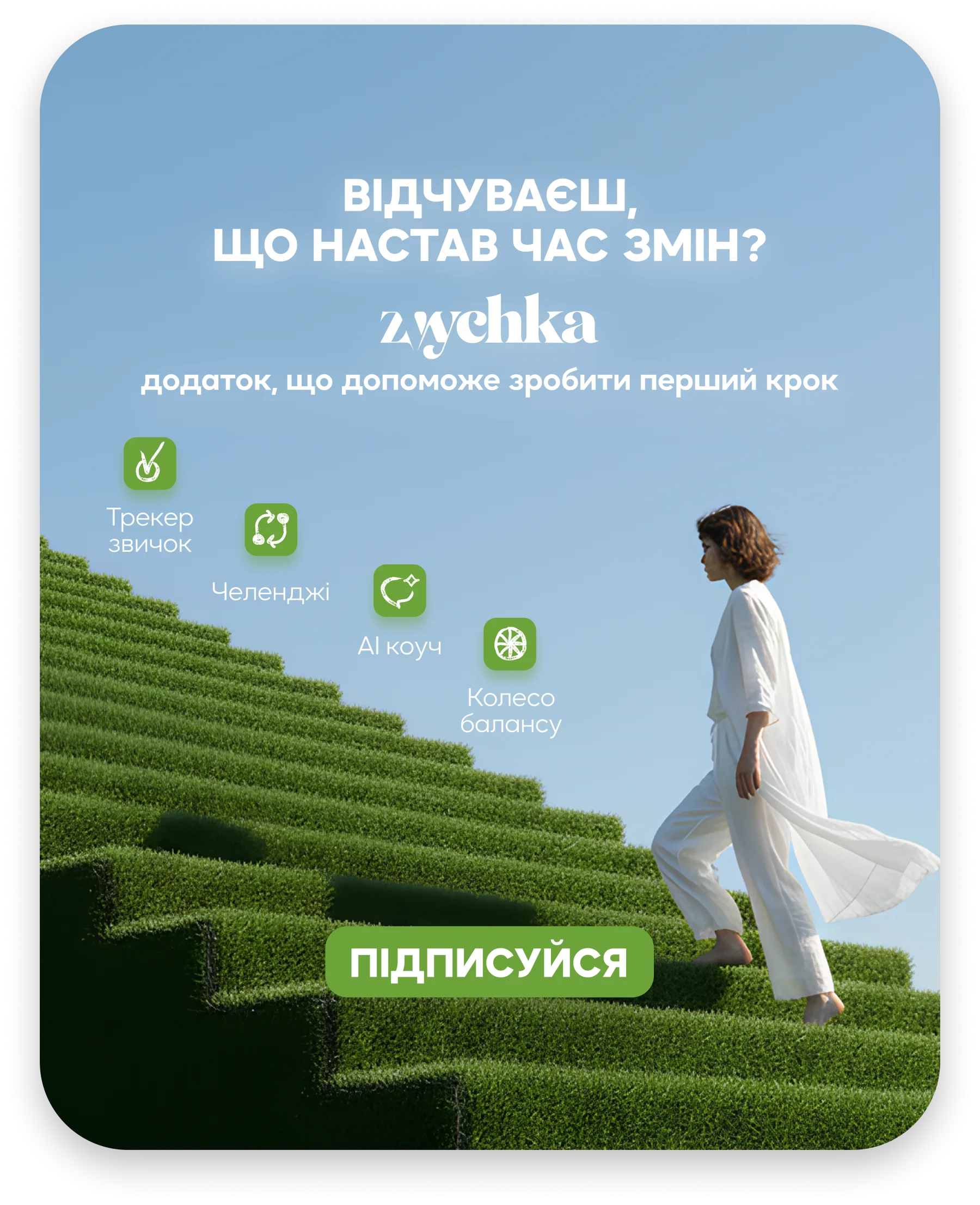 Advertising campaigns project